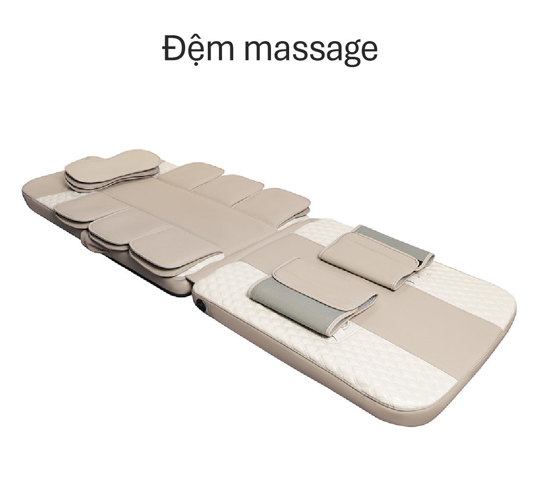 Đệm massage FJ-D88